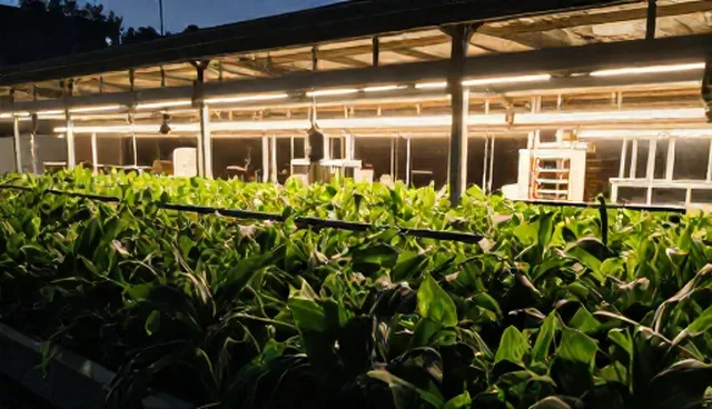 技术转让中的业务需求分析与使用维护建议